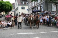 IMG_6473 (2) 